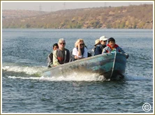 chambal river safari