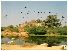 Chambal Safari