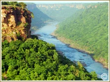 Chambal river