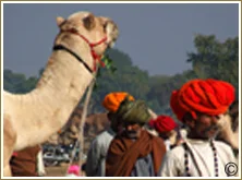 Chandrabhaga Fair